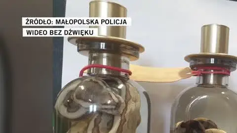 małopolska policja