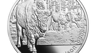 Srebrna moneta o nominale 20 zł