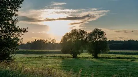 Lato, Polska, koniec lata, sierpień