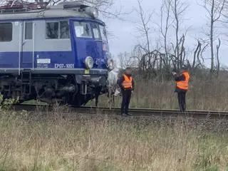 Wypadek na przejeździe kolejowym w Pękaninie