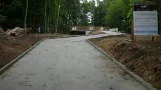 Droga do niedźwiedziarni