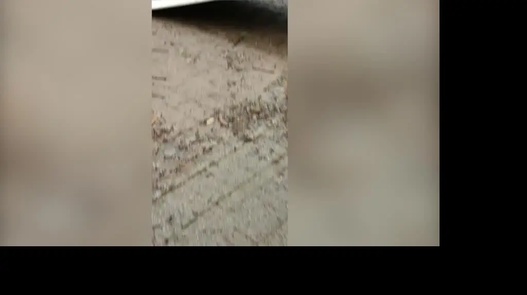 Zalane miasteczko Gemünd 