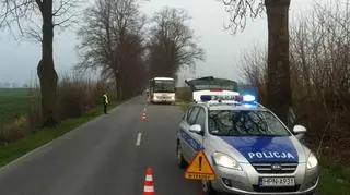 Do wypadku doszło na prostym odcinku drogi 