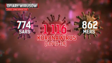 Koronawirus. Fakty i mity 