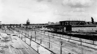 Budowa Powszechnej Wystawy Krajowej w Poznaniu