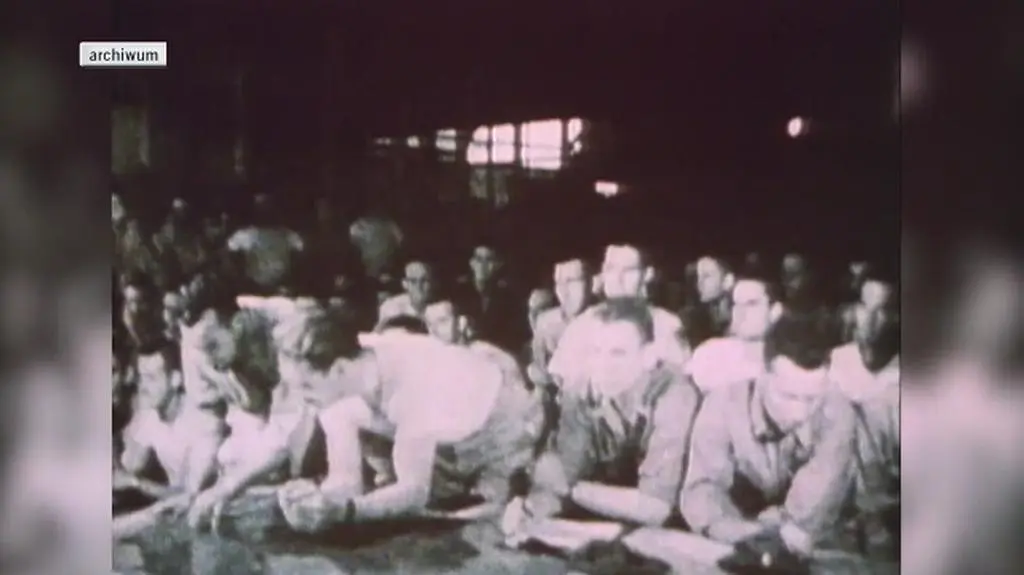 Bombardowania Japonii