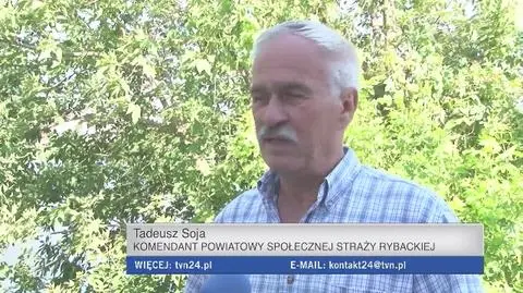 Wędkarze mówią że śniętych ryb mogą być nawet trzy tony