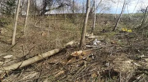 Wypadek podczas wycinki drzew w Karwodrzy 