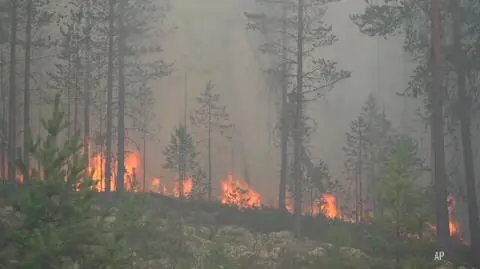 Polish firemen help battle fires in Sweden and Greece
