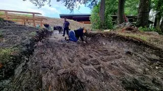 Drewniania konstrukcja grodu odsłaniana przez archeologów