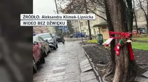 Aleksandra Klimek-Lipnicka