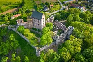 Zamek Świny