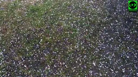 W marcu jak w garncu. Wasze pogodowe relacje z piątku
