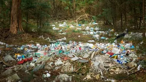 Nawet 10 milionów złotych nawiązki za przestępstwa przeciwko środowisku. Jest projekt