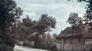 Zdjęcia mają unikatowy kwadratowy kształt