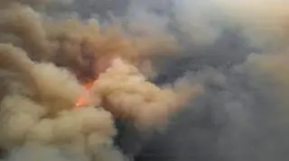 Pożar w okolicach Czarnobyla