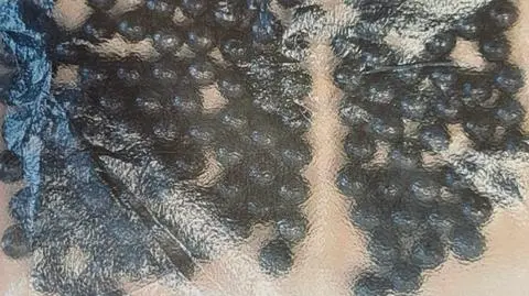 15-latek postrzelony na boisku. Strzał padł z okna sąsiedniej szkoły    