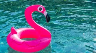 Duńscy ratownicy morscy zaapelowali o pilnowanie nadmuchiwanych flamingów