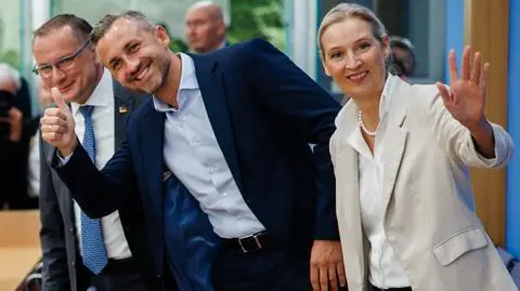 Liderzy Alternatywy dla Niemiec (AfD)