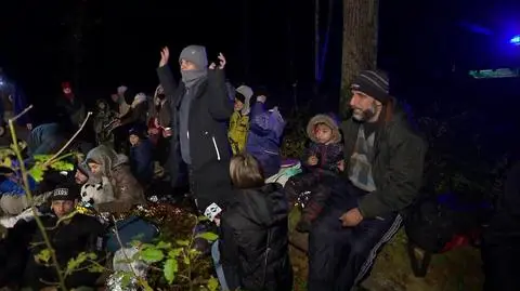Grupa 30 migrantów w okolicy Białowieży. SG: przyjmowane są wnioski o ochronę międzynarodową
