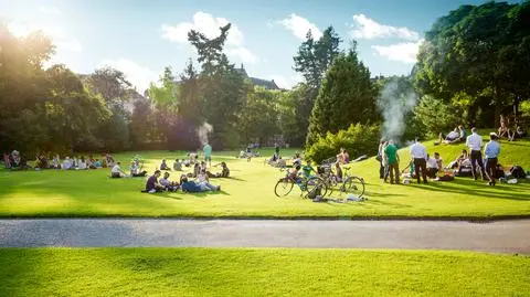 majowka shutterstock_1727585767