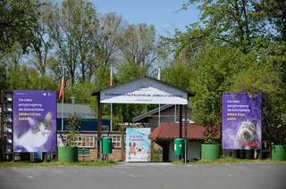 Schronisko na Paluchu 