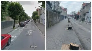 "Chwilowo" wycięli ponad 100 drzew w centrum miasta