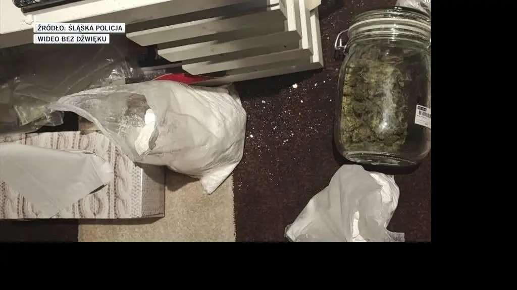 slideshow slaska policja 