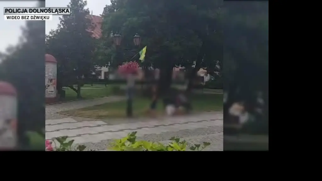 policja 1