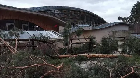 Połamane drzewa, uszkodzone ogrodzenie. Zoo zamknięte dla zwiedzających