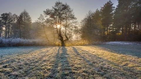 Przymrozki w Polsce. Gdzie temperatura znów mocno spadnie?