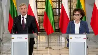 Przewodniczący litewskiego Seimasu: na Białorusi podnosi się demokracja, na Białorusi podnosi się rewolucja