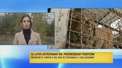 Mężczyzna usłyszy zarzut znęcania się nad zwierzetami 