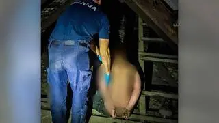 Ukrył się na strychu 