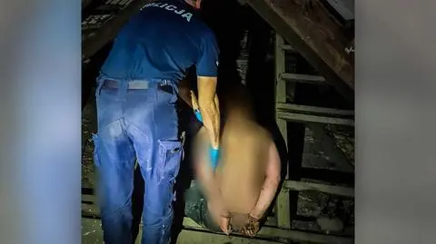 Ukrył się na strychu 