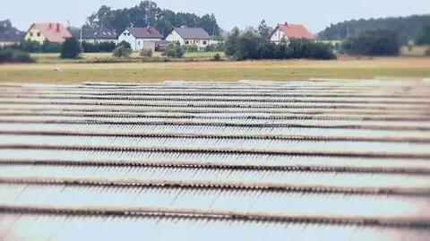 "Po dzieciach tutaj muchy chodzą". Życie w pobliżu fermy norek 