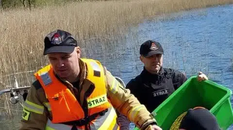 Projekt bez tytułu (1)