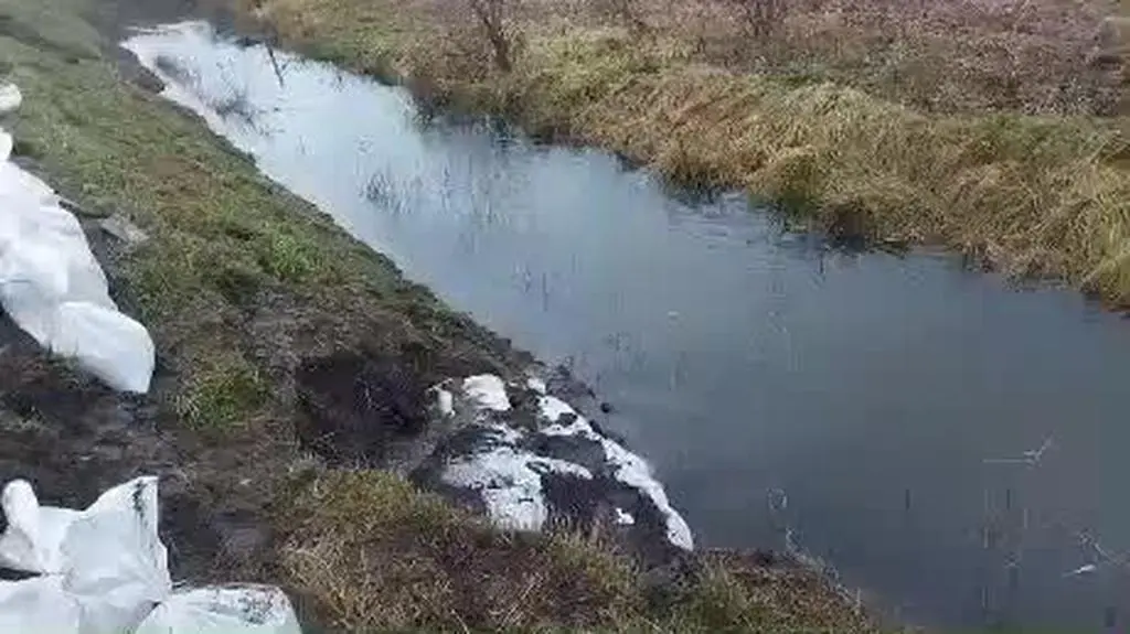 video000000