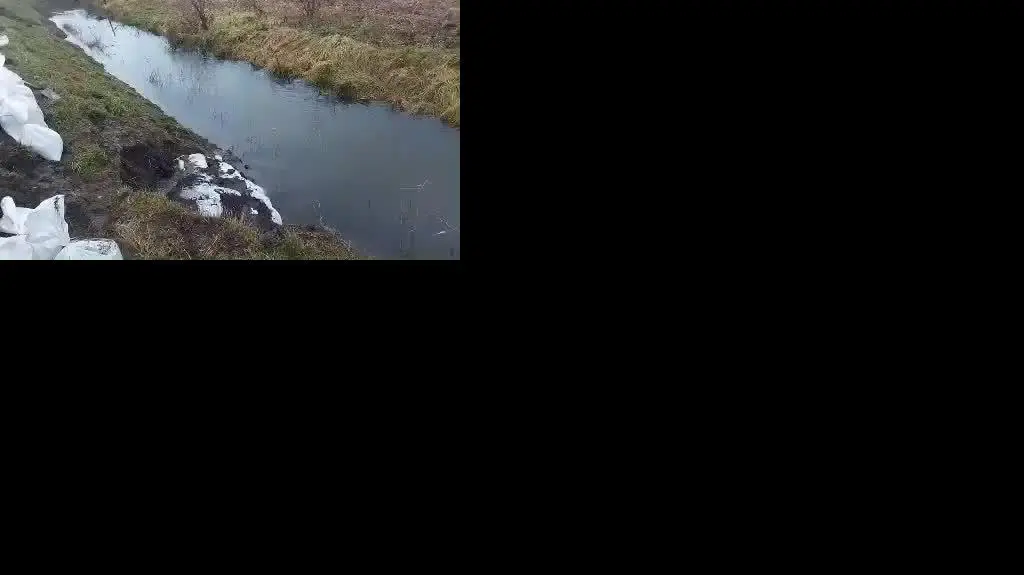 video000000