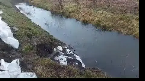 video000000