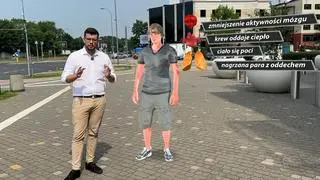 Reakcja obronna organizmu na wysoką temperaturę