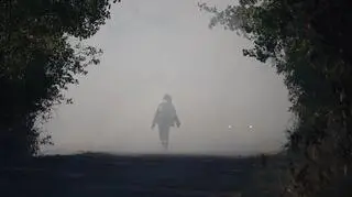 Pożar 90 hektarów pola w powiecie świebodzińskim