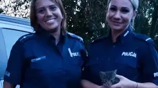 Policjantki przekazały kotka pod opiekę domu tymczasowego