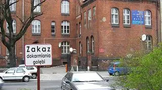 Zakaz dokarmiania gołębi