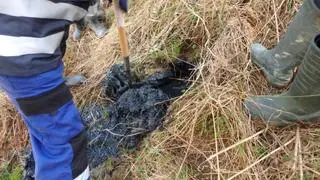 Kontrola ośrodka wypoczynkowego w Nowym Targu (wiosna 2022 roku)