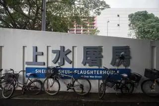 Tragedia w Sheung Shui Slaughterhouse 