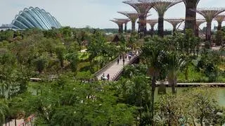 Gardens by the Bay