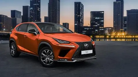 Tory sportowej historii