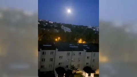 lublin syreny kontakt