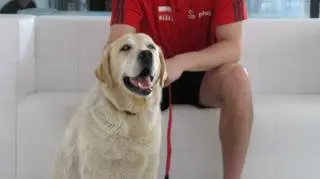 Fabian Drzyzga 